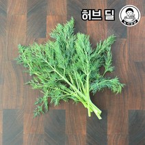 [농사임당] 식용허브 허브티 요리용 허브딜 생잎 50g/100g, 50g