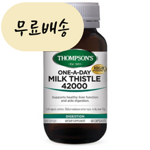 톰슨 밀크시즐 42000 60개입 엉겅퀴 - Thompsons Milk Thistle 60T 해외직구, 1개, 60정, 60정
