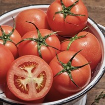 주스용토마토 2kg 3kg 5kg 당뇨에좋은과일 신선한 못난이토마토 완숙토마토, 쥬스용 완숙 찰 토마토 5kg