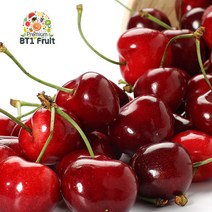 [비티원후르츠] [항공직수입]칠레 싱싱체리 1.8kg(10row), 상세 설명 참조