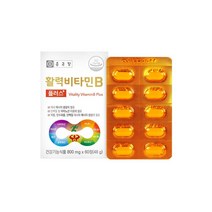 종근당 활력비타민B 8가지 영양성분 한번에 800mg 60정(48g) 2박스, 60정