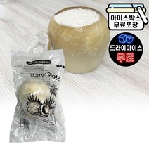 코코넛 아이스 170ml 코코넛 샤베트 코코넛 아이스크림 드라이아이스 무료, 코코넛 아이스 (드라이), 1개