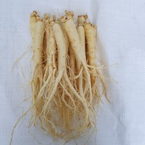금산인삼 5년근 6년근 원수삼 750g 20-25뿌리 삼계탕용 튀김용 믹서용, 세척