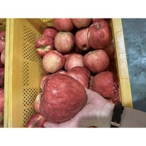 사과 장수사과 홍로사과고당도5kg 3kg산지직송, 못난이사과, 3KG중+소혼합(11~15개)