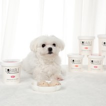 도러블 펫 아이스크림 120ml 세트 소형견 중형견 강아지 간식, 닭고기 2개+블루베리 2개