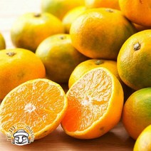 서귀포 하례마을 하우스감귤 3kg (로얄과 실중량), 단품