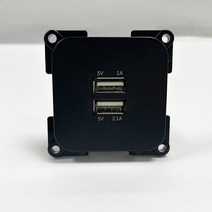 카라반 캠핑카 차량 콘센트 외 usb단자 스위치(블랙/실버), 2구 USB단자(블랙)