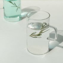 뜨아 내열 유리컵 5size 투명 홈카페 네스프레소 커피 잔 아인슈페너잔 손잡이 머그 컵, 500ml