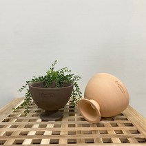 루아데코 로자리안 허니굽볼 에보니굽볼 수제토분 도자기 국산 옹기 다육화분, 허니(베이지)