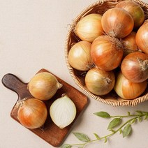 전남 무안양파 해풍양파 양파 3kg 5kg, 중대혼합, 1개