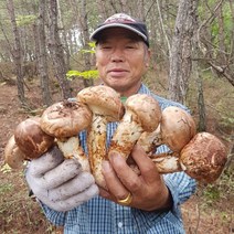 정정섭 자연산 송이버섯 황토 봉화 냉동 500g 1kg (청량산자락송이), 냉동 국산 슬라이스 자연산 송이버섯 500g, 1개