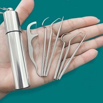 치아 세정기 직수 잇몸 마사지기 구강 수압 칫솔 이쑤시개 세트 금속 스테인레스, 골드 4개