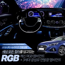 이지엘이디 LF쏘나타 뉴라이즈 해신 RGB 엠비언트 무드등 단색, 화이트