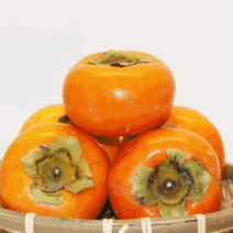 황금열매 감 차량 부유 상서 단감 봉지단감 5kg 10kg, 봉지단감 10kg 65-70과