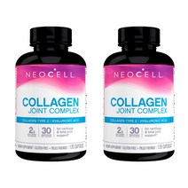 네오셀 콜라겐 히알루론산 joint HyaluronicAcid 120캡슐 2개