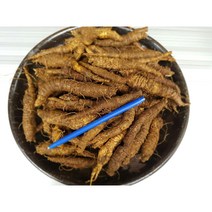 정선 산 더덕 깐더덕 생더덕 무침용 구이용 담금주 산지직송 강원도 고랭지 햇더덕, 장아찌용 더덕 4kg