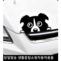 로체차체데코 아이오닉차체데코 겔로퍼차체데코 로체이노베이션차체데코 멍멍이스티커 강아지스티커, 화이트
