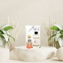 어느멋진날 디퓨저 작은정원향 [ 차량용세트 250ml (공병+스틱+리필오일250ml+선물박스) ], 블루