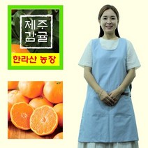 제주 감귤 당일수확 10kg 노지귤 제주도 하우스 가정용 조생 못난이 고당도 감귤