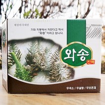 국내산 생 와송즙 진액 자연산 바위솔 차 엑기스 100ml 60포, 1개, 60개입