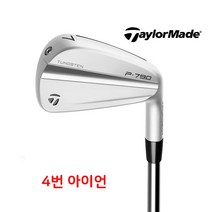 테일러메이드 P790 아이언