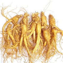 한명장 인삼, 800g, 1개, 1박스