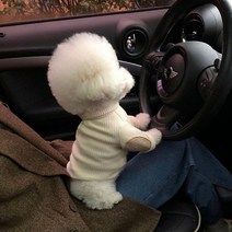 강아지옷 강아지용품 스웨터 옷 고양이 강아지만들기학원 애견의류 반려견패딩, XL, Creamy-white