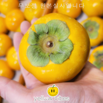 단감 10kg 5kg 한 박스 가정용 경남 부유 단감, 명품 경남단감 10kg(특대)