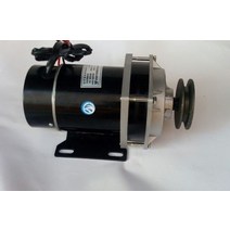 500W 24V / 36V / 48V 풀리 기어 모터 브러시 모터 3 륜 전기 자동차 Dc 브러시 모터 My1020Zxf|직류 전동기|, 1개