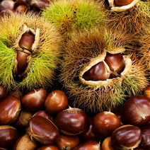 귤담원 부여 굿뜨래 알밤 2kg 4kg, 1박스, 01.부여 햇밤 2kg 대