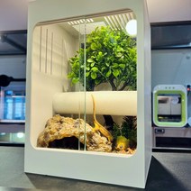 크레스티드게코 사육장 집 202030 사이즈 2color 화이트 블랙, 안할래요