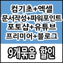 컴퓨터 기초 배우기 교육 + 엑셀 활용 강좌+ 파워포인트+ 문서작성+포토샵+유튜브 유튜버+프리미어 프로 동영상 편집 +네이버 블로그 9개 묶음 책 교재 서적 보다 좋은 usb
