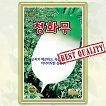 가을무 김장무 씨앗 종자 씨 무씨 청화무 씨앗 2000립 KS