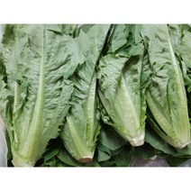 [특급] 싱싱한 통로메인 500g /1kg, 통로메인500g, 1개