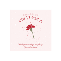 박시스트 카네이션 사각형 카드 8x8cm, 100개