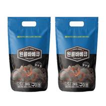 원콜바베큐 일반형 숯 2kg, 2개