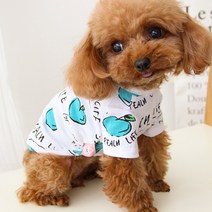 여름 커플 옷 강아지 옷 봄 옷 애완 동물 고양이 비숑 테디 옷 여름 얇은 옷-109034, 옵션02