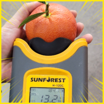 블러드오렌지 13브릭스이상 제주GAP농원 당일수확, 5KG, 5KG