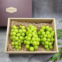 Freshvalley 배송마감10월4일 순차출고산지직송 알찬 샤인머스캣 선물세트 1.5kg내외 2~3송이(보자기증정) -인증