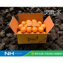 맛있는 2023 제주농협 귤로장생 햇 카라향 4kg, 없음