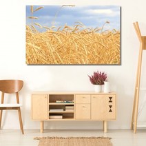 셀러허브 벼이삭 가을 와이드 풍경 사진 그림 액자 40호 100x63cm, 캔버스액자(옆면흰색)