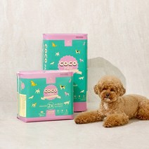 주주팸 코코패드 프리미엄 애완동물 배변패드 150매 (SAP6g), 소형3팩(150매)