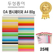 OA 팬시페이퍼 80g, 옥색, 5개