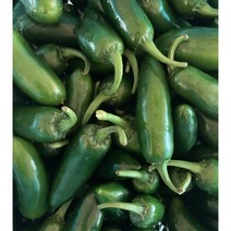 생할라피뇨고추 퍼펙트 1kg 3kg 2월 21일 이후 순차출고 국내산 산지직송 피클 장아찌 아삭이 고추 엄지고추 할라피뇨 3kg, 1box