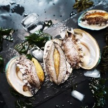 산지직송 완도 활전복 1kg 25~30미 전남완도전복 산소포장