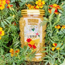 벌화분 1kg 지리산 다옴