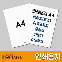 올페이퍼 인쇄용지 A4 백상지 모조지 아트지 스노우지 중질지 중절지, 스노우지_250g_A4_125매, 1개입
