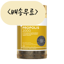 헬씨케어 프로폴리스 2000mg 200개입, 1개, 200개