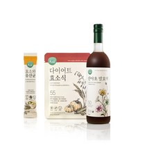 효소담 산야초 1주 단기 다이어트 프로그램 발효액 효소식 유산균 각 1BOX, 1병, 750ml