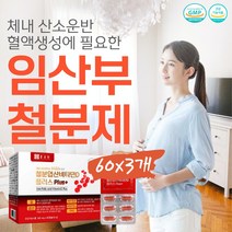 맥스 고함량 철분제 Fe 비타민B12 엽산 수유부 영양제 약 6개월분 500mg 60캡슐x3박스 40대 중년 여성 프리미엄 헤모철 플러스 구리 임신 전후 고등학생 에 좋은 생리 성장기 철분